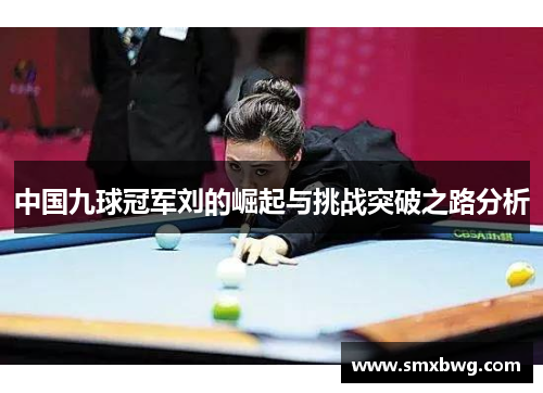 中国九球冠军刘的崛起与挑战突破之路分析