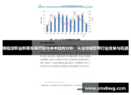 橄榄球职业联赛发展历程与未来趋势分析：从全球视野看行业变革与机遇