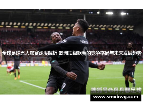 全球足球五大联赛深度解析 欧洲顶级联赛的竞争格局与未来发展趋势