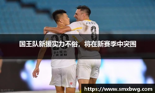 国王队新援实力不俗，将在新赛季中突围