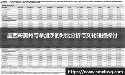 墨西哥美州与拿加沙的对比分析与文化碰撞探讨